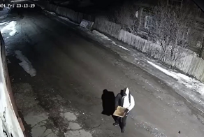 Новосибирские подростки украли улей с пчёлами на Алтае, чтобы привезти родителям мёд