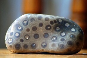 Камень Петоски