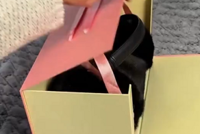 Необычная сумочка для любительниц котиков