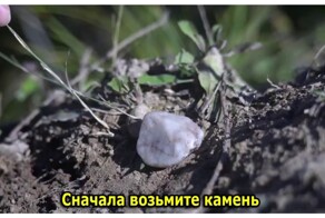 Как самому сделать процессор