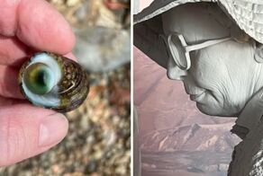 15 случаев, когда люди столкнулись с жуткими на вид, но при этом очень любопытными штуками
