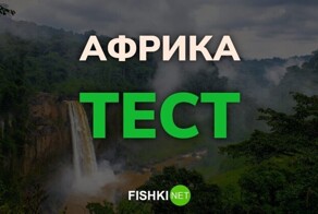 Африканский тест для географов