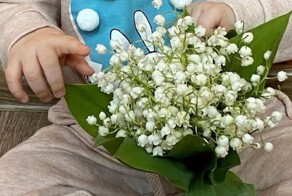 В Новосибирске маленькая девочка случайно проглотила ландыш и оказалась в больнице