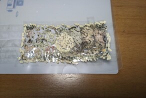 Японец три недели собирал купюру, которая случайно попала в шредер