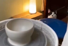 "Надо поправить": клиент вносит правки