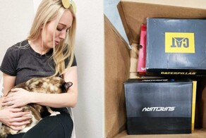 Кошка, случайно попала в коробку Amazon. Она пролетела 1050 км и вернулась только через неделю