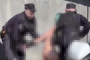 Открыла купальный сезон: в Санкт-Петербурге голая девушка, убегая от полиции, спрыгнула с моста