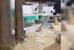 Жилой квартал для котиков