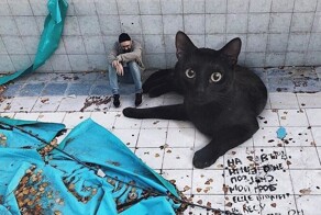 20 фантастических изображений, которые показывают мир ну очень больших кошек