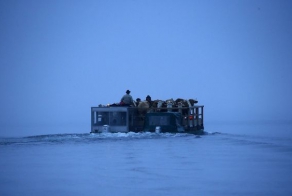 Путь на зимние пастбища (7 фото)