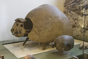 15 вымерших гигантов, которые когда-то бороздили просторы Северной Америки