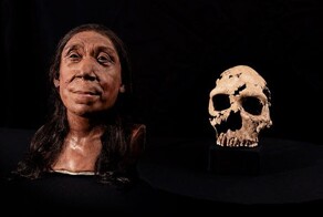 Учёные воссоздали облик неандертальской женщины по черепу