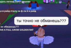 Мошенники обманули второклассницу из Чувашии, заставив её перевести с телефона родителей 1,3 миллиона рублей