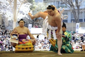 Боевое искусство сумо (16 фото)