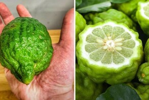 14 продуктов, которые настолько похожи, что так и норовят нас запутать