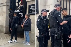 Полиция скрутила пранкера тыкающего микрофон под нос лошади Королевской гвардии