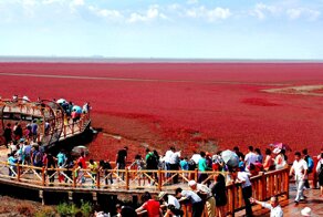 Красный пляж в Китае: загорать нельзя, можно только любоваться