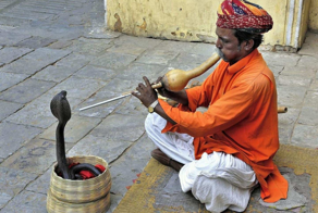 Как факиры заставляют змей плясать под свою дудку?