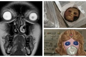 19 странных и пугающих снимков