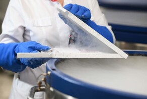 В России разработали технологию "вечного" хранения искусственных органов