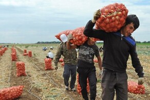 В Тюмени мигранты стали требовать за работу в два раза больше денег