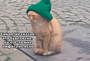 Скрины из соцсетей