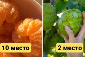 Учёные назвали 11 самых питательных продуктов в мире, которые по своей сути – чистая энергия