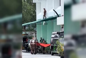 Неудачная операция по спасению кота