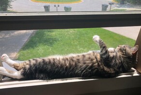 С добрым утром