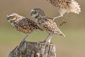 С добрым утром!