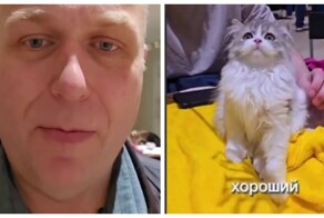 Когда жена не разрешает завести кошечку