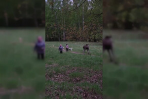 Опасность пришла откуда не ждали