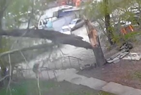 В Екатеринбурге тополь рухнул на тротуар, едва не придавив женщину с ребёнком