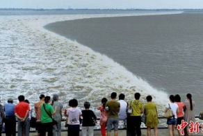 Отчаянные китайцы (15 фото)