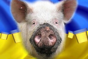 Хохлы ролик слепили