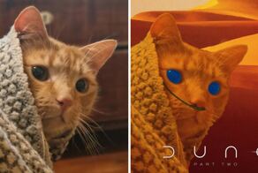 15 работ участников фотошоп-баттлов, которые наглядно показывают, что такое искромётный юмор