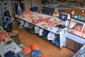 Сбежавшая корова нагрянула в мясную лавку