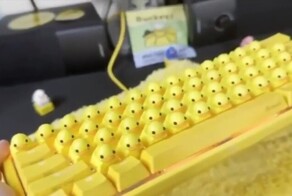 Забавная утиная клавиатура