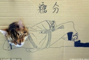 Кошачий косплей (8 фото)