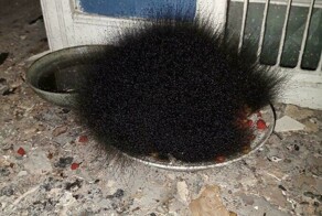 30 жутковатых кадров, от которых становится не по себе