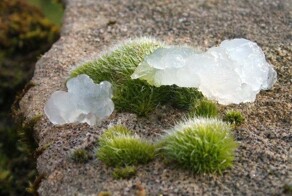 Мистика Оквиллских пятен