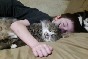 С добрым утром