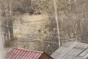В Магаданской области пенсионерка отбилась от медведицы