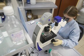 В России создали гель для восстановления костей со 100% идентичностью