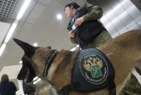 Партию марихуаны, спрятанную в боксёрских перчатках, нашли при досмотре посылки из Таиланда