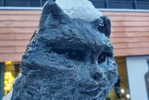 Посвящение кошке-рекордсменке от благодарных людей