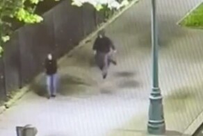 В Москве мигрант попытался изнасиловать девушку, но сбежал, получив отпор