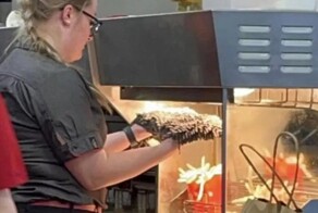 Работница McDonald's посушила половую тряпку над картофелем фри