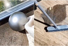 Жуткие кадры из Гомеля: белоруска показала «живой ковер» из мошек