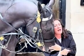 Лошадь Королевской гвардии укусила туристку, которая решила с ней сфотографироваться